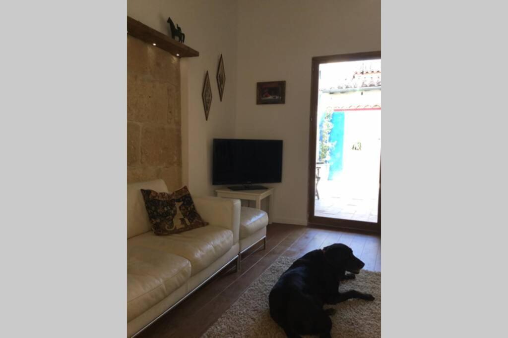 Petit Paradis, 1 Bedroom House Sommières المظهر الخارجي الصورة